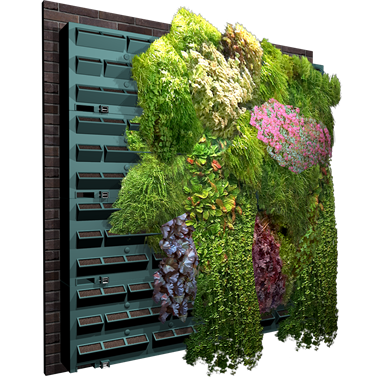 Green Wall City Kostenfreie Bim Objekte Für Archicad 3ds Max Revit Bentley Microstation Sketchup Ifc - Living Plant Wall Revit