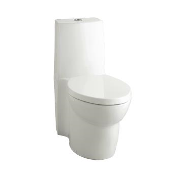 K-3564 Saile® one-piece elongated dual-flush toilet with seat