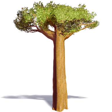 mate Insightful unearth BIM object - Trees - Baobab - Plants | Polantis - Revit, ArchiCAD, AutoCAD,  3dsMax and 3D models