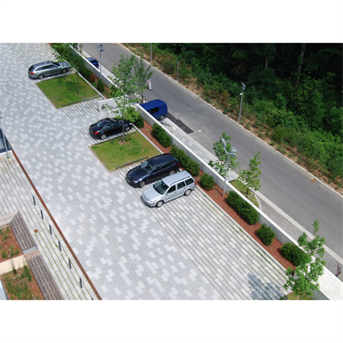 Public Roof  Type Car System Solution